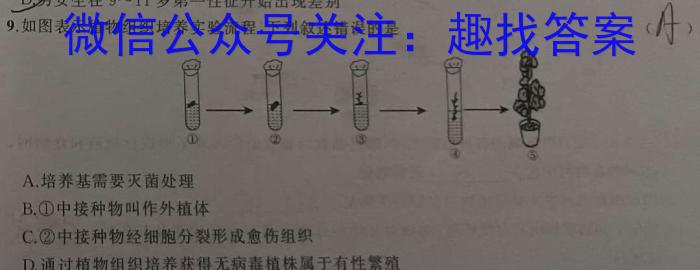 河北省2024届高三年级大数据应用调研联合测评(Ⅵ)数学