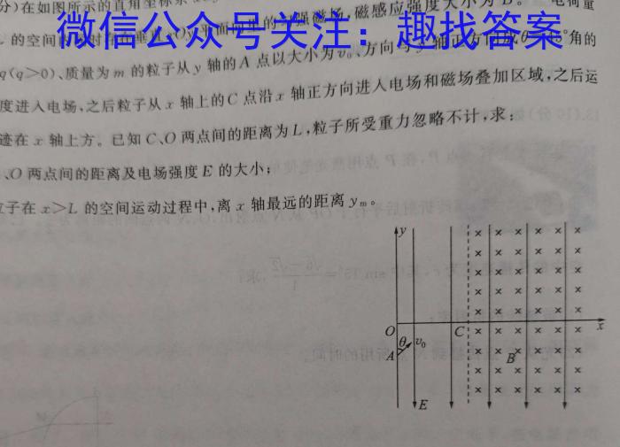 卓育云·2023-2024中考学科素养自主测评卷（二）物理`