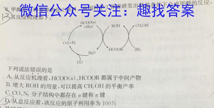 山东省2024届高三适应性考试(2024. 05)数学