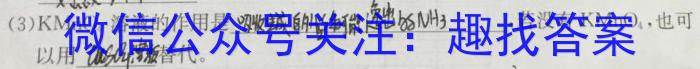 真题密卷冲顶实战演练 2024年普通高等学校招生全国统一考试模拟试题(一)化学