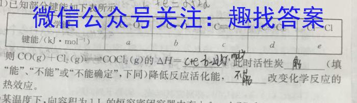 2024届成都石室中学高考适应性考试(一)数学