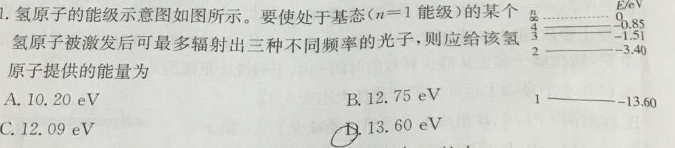 2023-2024陕西省铜川市一中高一期末考试(241994D)(物理)试卷答案