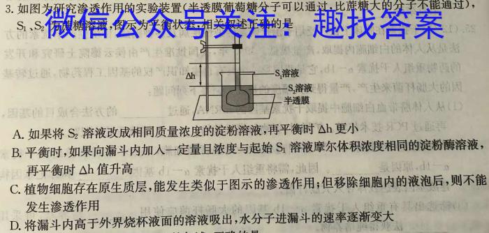 2024届天一大联考顶尖联盟 高中毕业班第四次考试生物