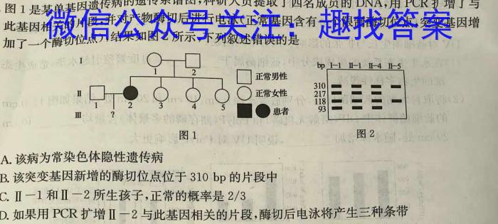 河南省高一驻马店市2023-2024学年度第二学期期终质量监测数学