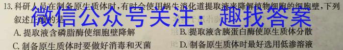 陕西省定边四中2023~2024学年第二学期高一期末考试(241993Z)生物学试题答案