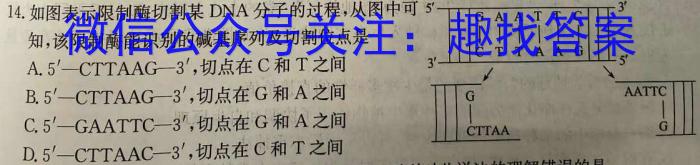 2024年普通高等学校招生全国统一考试猜题信息卷(六)6数学