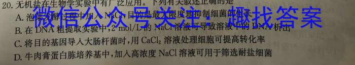 莆田市2023-2024学年下学期期末质量监测（高二年级）数学