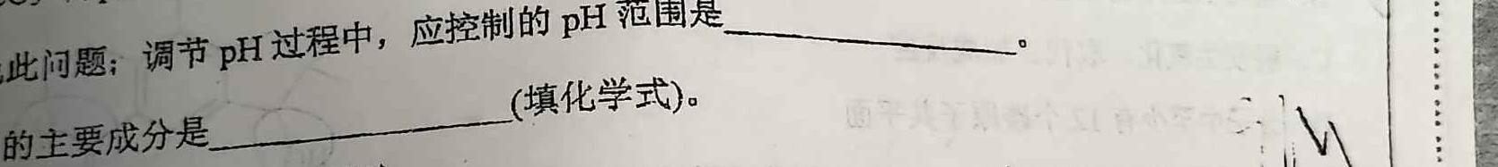【热荐】河北省2023-2024学年度第一学期九年级阶段性练习化学