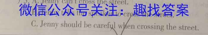 名校计划2024年河北省中考适应性模拟检测试卷(预测一)英语