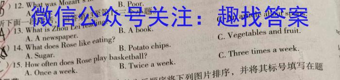 中考必刷卷·2024-2025学年安徽省九年级上学期开学摸底调研英语