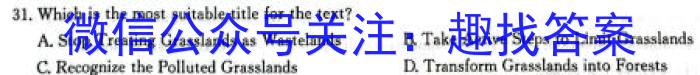 初中"诗画安徽·探索之旅"2024届九年级考试(双菱形)英语