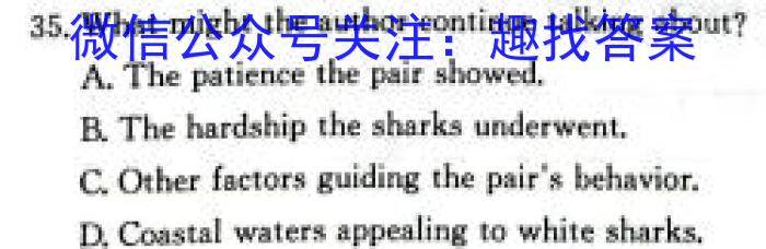 安徽省池州市2024-2025学年第一学期九年级开学考英语试卷答案