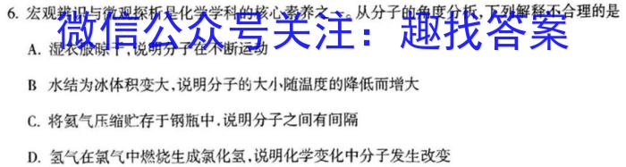 万维中考·2024年成都市高中阶段教育学校统一招生暨初中学业水平考试（黑卷）化学