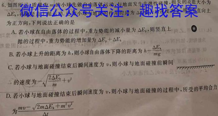 2024-2025学年第一学期浙江省高二年级名校协作体物理试卷答案