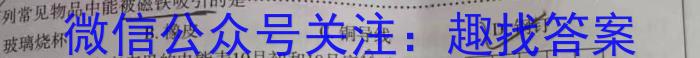 2024ʡп̾()xԾ