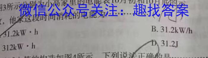 江西省2024年初中学业水平考试模拟(八)8物理试题答案