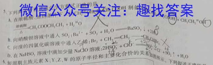 天一大联考 湖南省2024届高三5月联考(5.24)数学