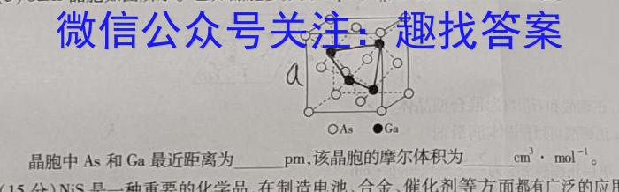 第九届湖北省高三(4月)调研模拟考试(2024.4)化学