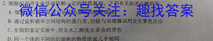 黄金卷2024年河南省普通高中招生考试黄金模拟(三)生物学试题答案