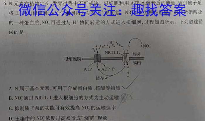 2024年河北省初中毕业生升学文化课模拟考试（密卷二）数学