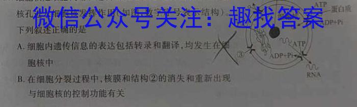 河北省2024年初三模拟演练（四）生物学试题答案