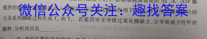 河南省2023-2024学年第二学期阶段性质量评估试卷（九年级）数学