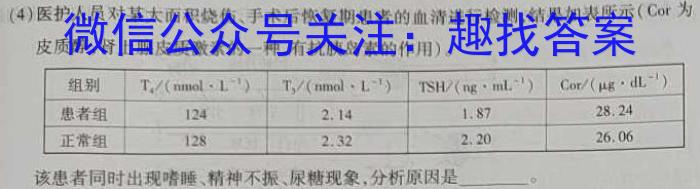 湖北省2024~2025学年度武汉市部分学校高三年级九月调研考试数学