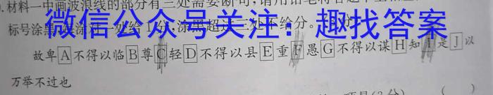 山西省2023-2024学年第一学期九年级教学质量检测(期末)语文