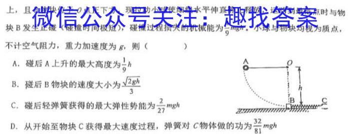 蜀学联盟2024年秋新高二开学考试物理`