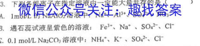 【热荐】安徽省亳州市2024年4月份九年级模拟考试化学