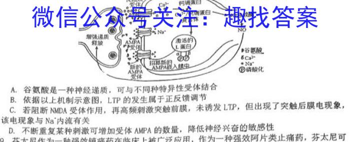 黄冈市2023年秋季高二年级期末调研考试生物学试题答案