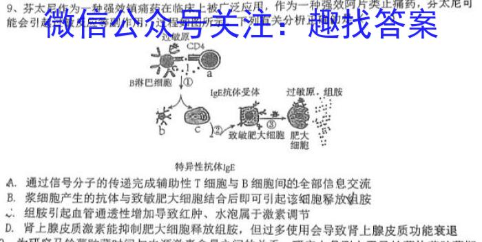 2024年安徽中考信息交流试卷(三)数学