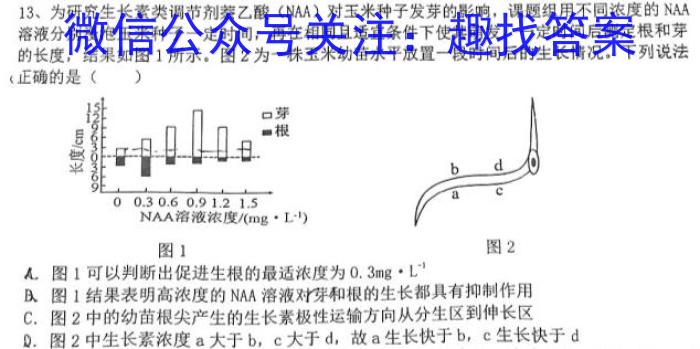 2024届黑龙江高三4月联考(电话)生物学试题答案