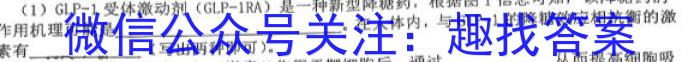 江西省吉安市十校联盟2023-2024学年九年级第二学期期中联考数学h