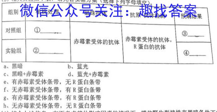 广西省2024年高考第二次联合模拟考试(2024.4)数学