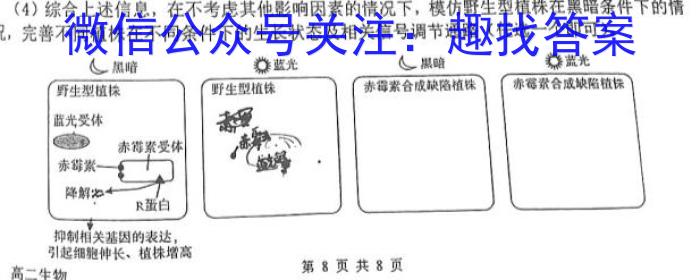 安徽省无为三中2023-2024学年度第二学期九年级学情调研生物学试题答案