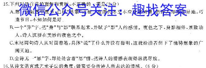 2024年河南省普通高中招生考试预测卷(A)语文