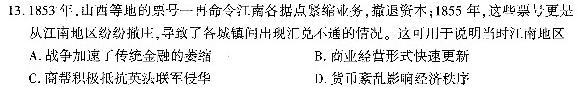 2024届武汉市高三五月模拟训练试题2024.5.21历史