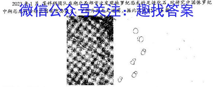 文博志鸿 2023-2024学年河北省九年级结业教学质量检测地理.试题