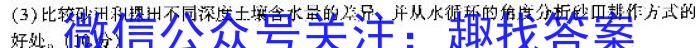 2024年陕西省初中学业水平考试 YJ②样卷(二)2地理试卷答案