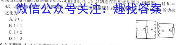 2024年安徽省九年级质量调研检测(二)2物理试卷答案