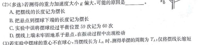 2024年湖南省普通高中学业水平合格性考试仿真试卷(专家版一)物理试题.