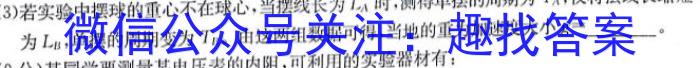 安徽省2024年中考密卷·先享模拟卷(二)2物理`