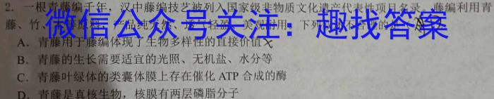 安徽省安庆市第十四中学2024年秋季初一新生入学问卷调查数学