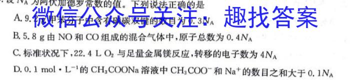 2024年河北省初中毕业生升学文化课模拟测评（六）化学