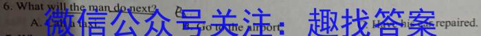 安徽省2023-2024学年度九年级阶段诊断(PGZX F-AH)(四)英语试卷答案