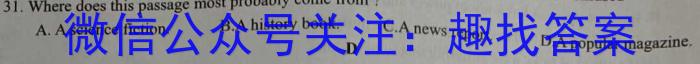 2024届石室金匮高考专家联测卷(六)英语试卷答案