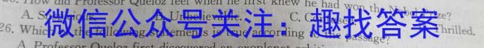 安徽省埇桥区教育集团2023-2024学年度九年级第一学期期末质量检测英语