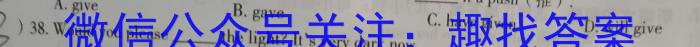 安徽省2024届九年级期末综合评估（4L R）英语