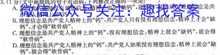 2024年陕西省初中学业水平考试模拟试题(三)3语文